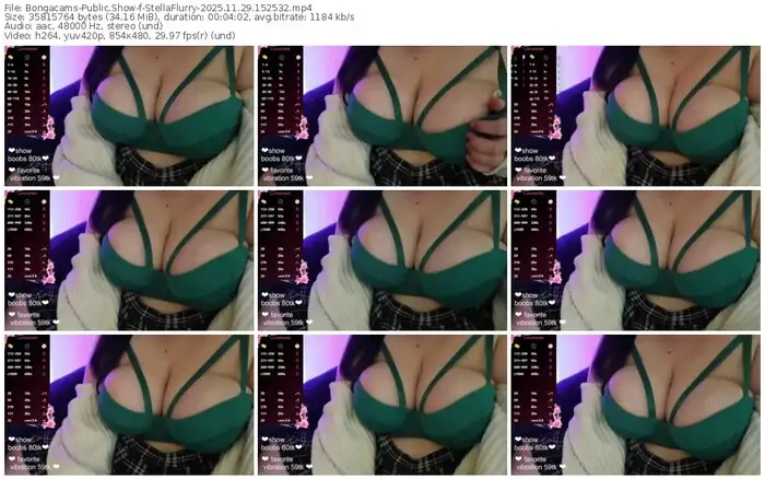 2025/11/29/bongacams-stellaflurry-15-25-32
