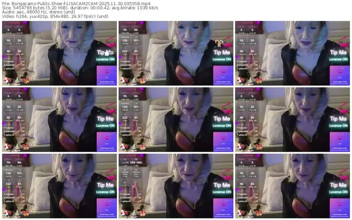 2025/11/30/bongacams-lisacam2cam-03-55-58