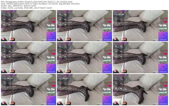 2025/11/30/bongacams-lisacam2cam-12-42-22