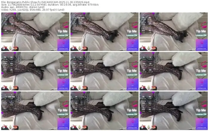 2025/11/30/bongacams-lisacam2cam-13-56-29