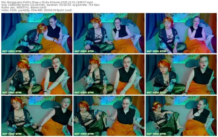 2025/12/01/bongacams-tricky-kitsune-18-45-37