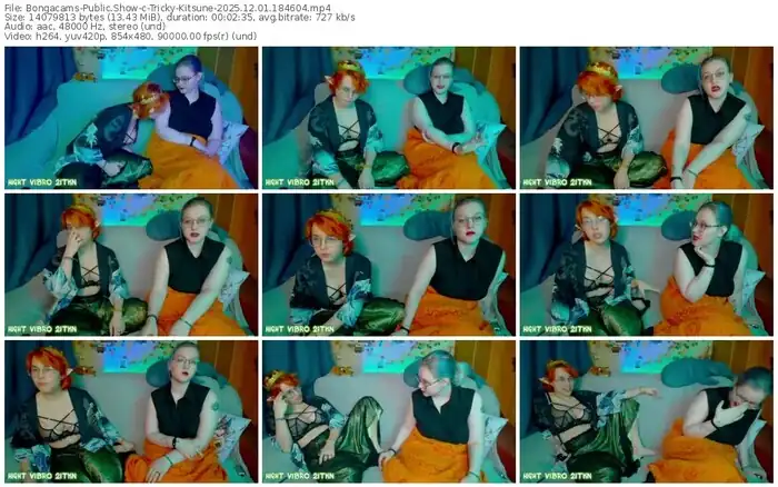 2025/12/01/bongacams-tricky-kitsune-18-46-04