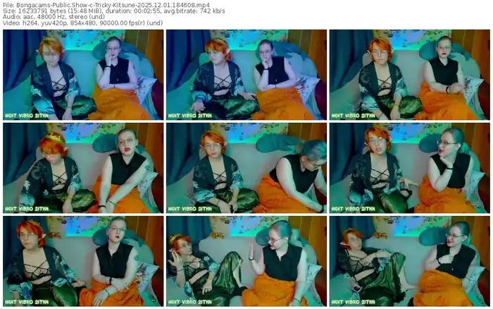 2025/12/01/bongacams-tricky-kitsune-18-46-08
