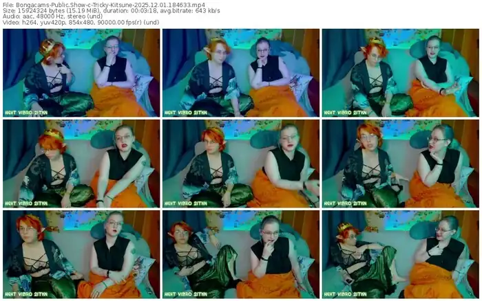 2025/12/01/bongacams-tricky-kitsune-18-46-33