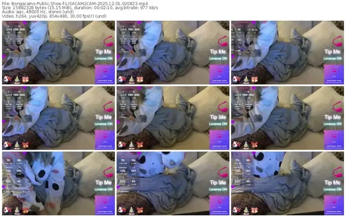 2025/12/01/bongacams-lisacam2cam-02-08-23