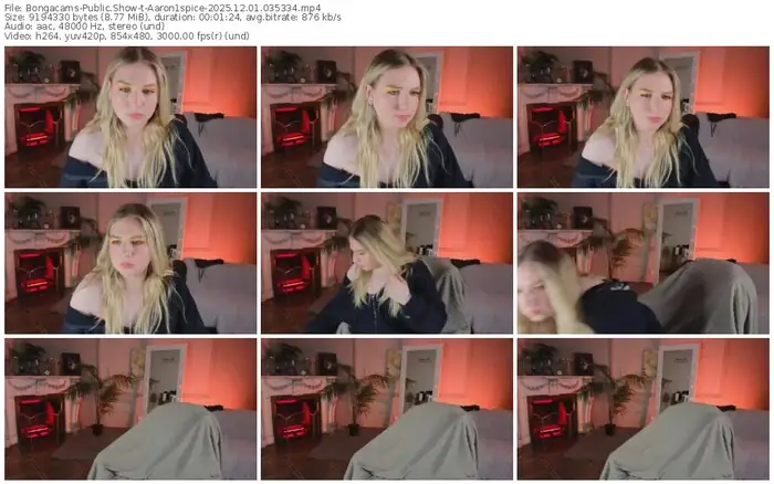 2025/12/01/bongacams-aaron1spice-03-53-34
