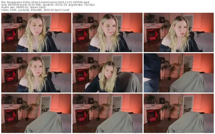 2025/12/01/bongacams-aaron1spice-03-55-46