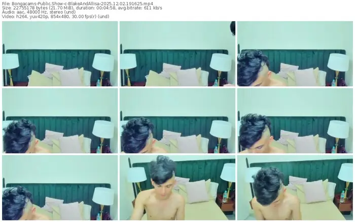 2025/12/02/bongacams-blakeandallisa-19-16-25