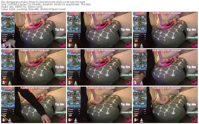 2025/12/09/bongacams-lisacam2cam-18-37-36