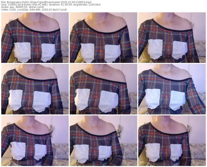 2025/12/09/bongacams-goodsnowqueen-15-09-53