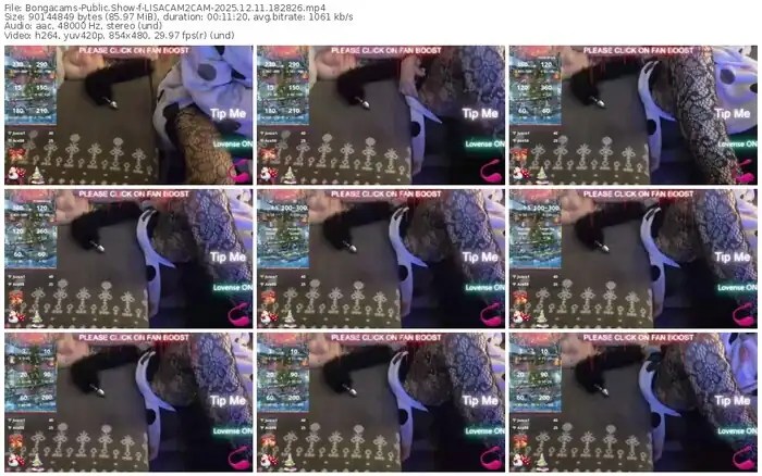 2025/12/11/bongacams-lisacam2cam-18-28-26