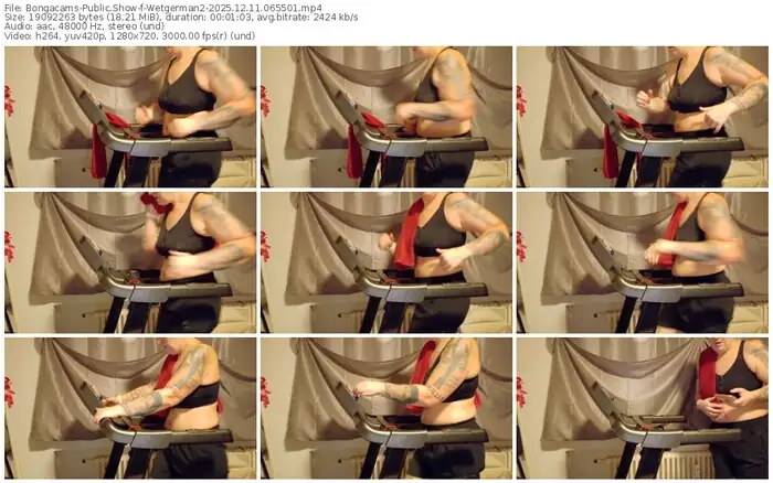 2025/12/11/bongacams-wetgerman2-06-55-01