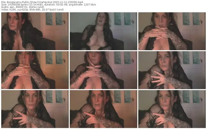 2025/12/13/bongacams-harleyslut-23-30-59
