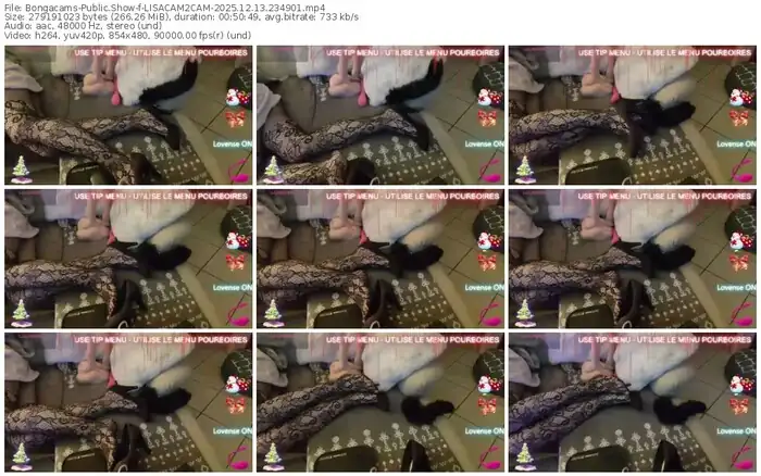 2025/12/13/bongacams-lisacam2cam-23-49-01