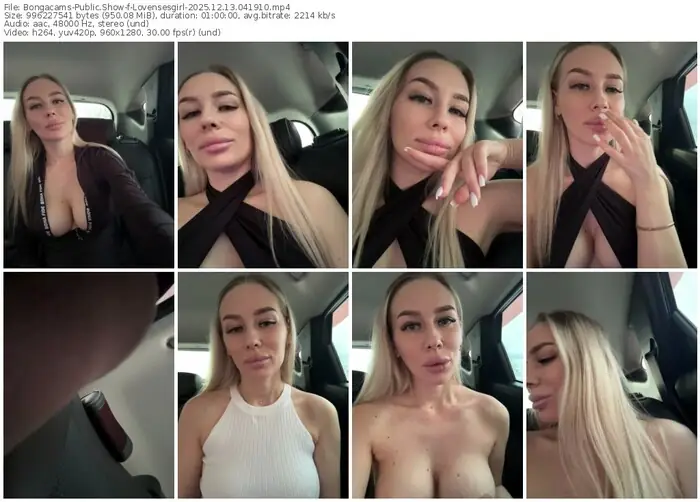 2025/12/13/bongacams-lovensesgirl-04-19-10