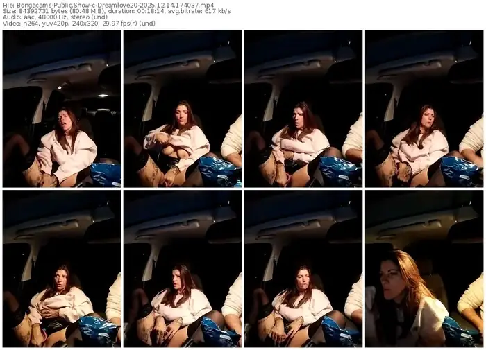 2025/12/14/bongacams-dreamlove20-17-40-37