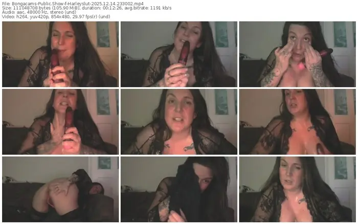 2025/12/14/bongacams-harleyslut-23-30-02