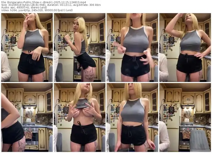 2025/12/15/bongacams--breid-1-12-48-13