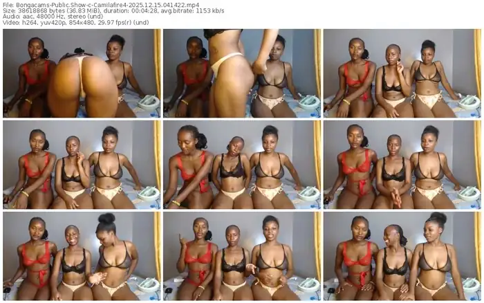 2025/12/15/bongacams-camilafire4-04-14-22