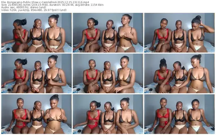 2025/12/15/bongacams-camilafire4-13-11-16