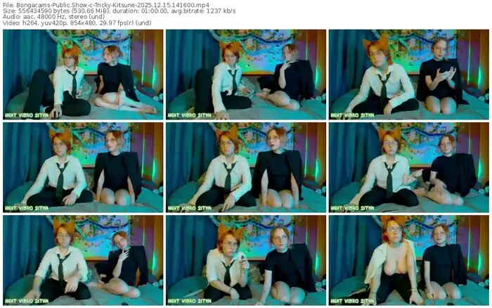 2025/12/15/bongacams-tricky-kitsune-14-16-00