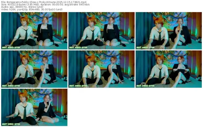 2025/12/15/bongacams-tricky-kitsune-17-38-21