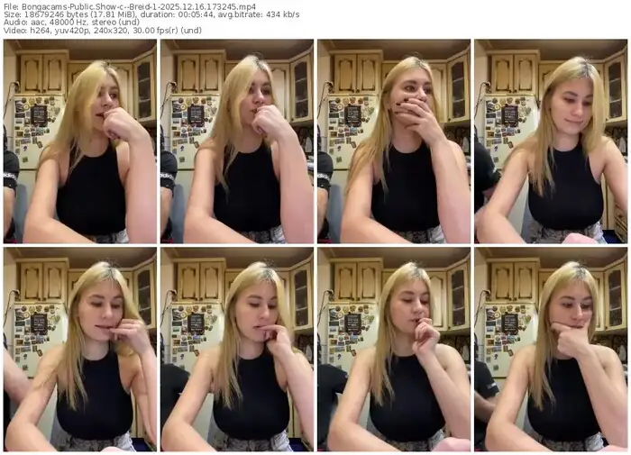 2025/12/16/bongacams--breid-1-17-32-45