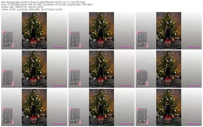 2025/12/17/bongacams-ladyofdesire-11-11-59