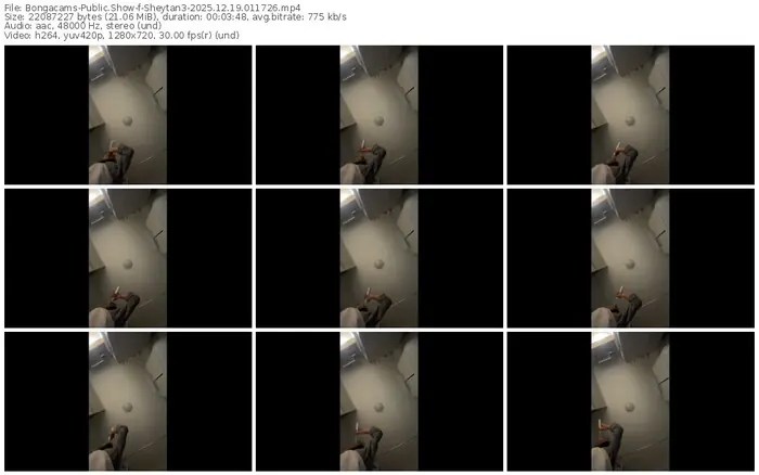 2025/12/19/bongacams-sheytan3-01-17-26