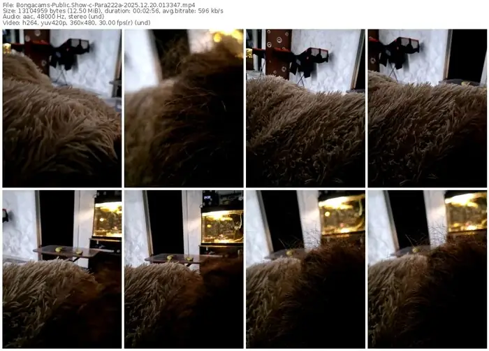 2025/12/20/bongacams-para222a-01-33-47