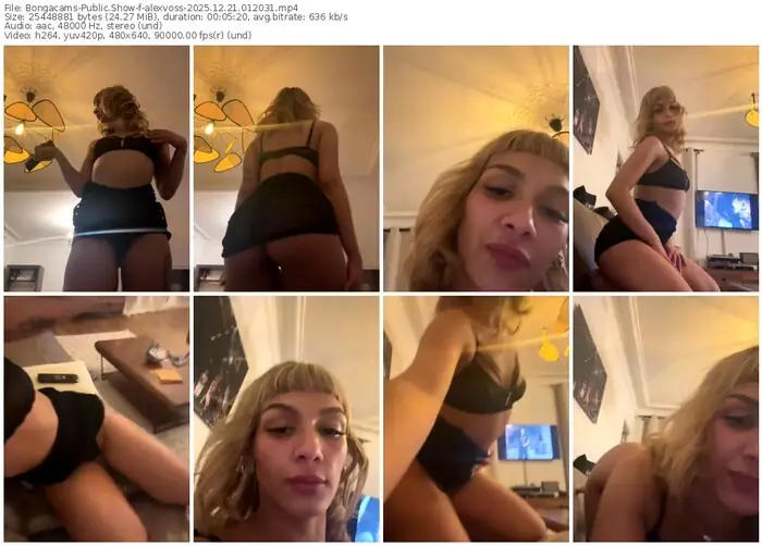 2025/12/21/bongacams-alexvoss-01-20-31