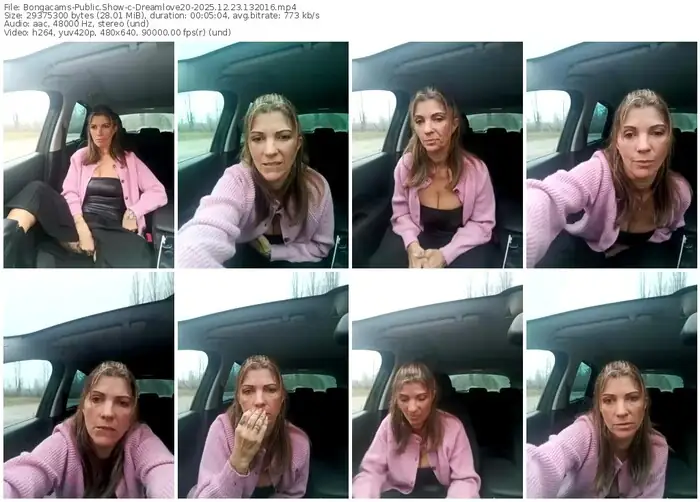 2025/12/23/bongacams-dreamlove20-13-20-16