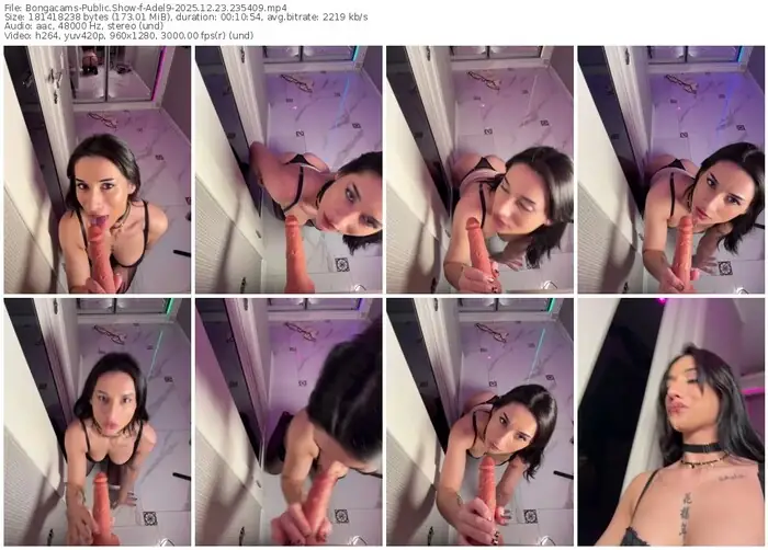 2025/12/23/bongacams-adel9-23-54-09