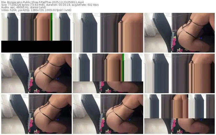 2025/12/23/bongacams-padthai-05-00-11