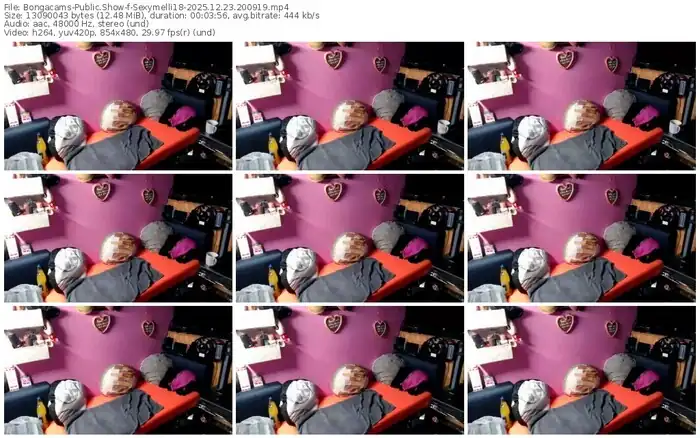 2025/12/23/bongacams-sexymelli18-20-09-19