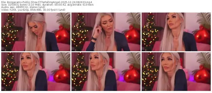 2025/12/24/bongacams-thefallingangel-08-26-33