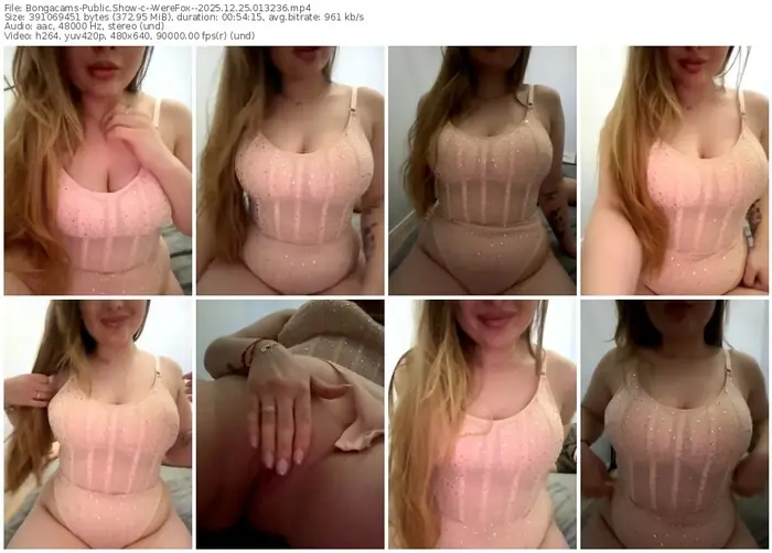 2025/12/25/bongacams--werefox--01-32-36