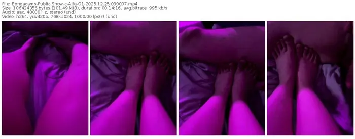 2025/12/25/bongacams-alfa-g1-03-00-07