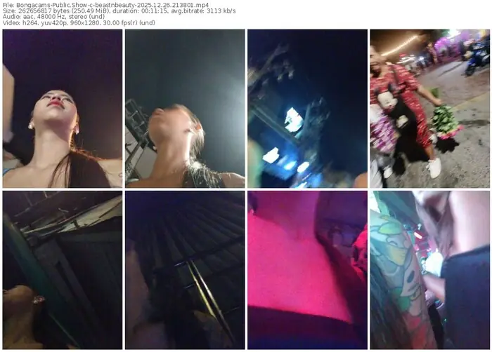 2025/12/26/bongacams-beastnbeauty-21-38-01