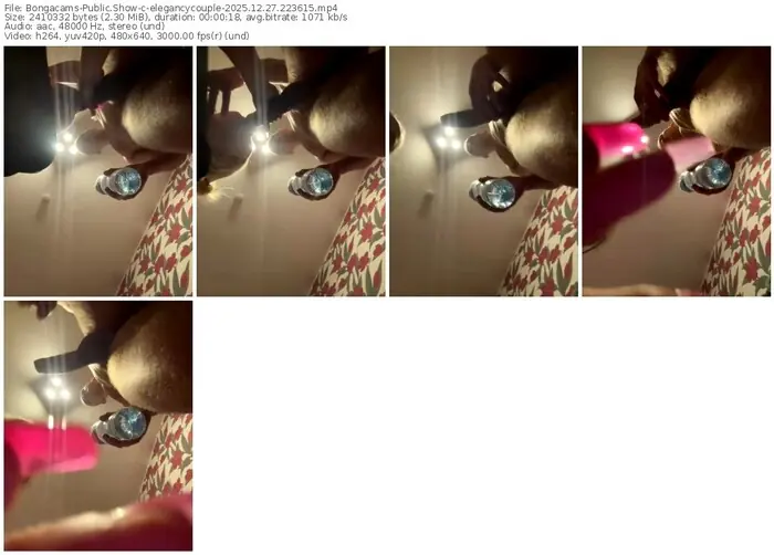 2025/12/27/bongacams-elegancycouple-22-36-15