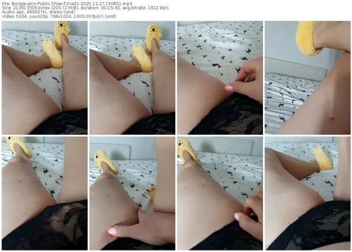 2025/12/27/bongacams-dia42-15-08-51