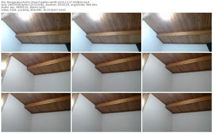 2025/12/27/bongacams-adelen-smith-00-38-26