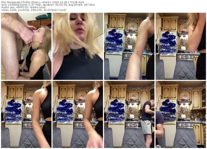 2025/12/28/bongacams--breid-1-17-22-28