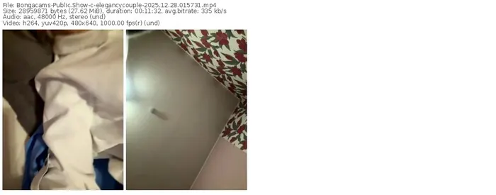 2025/12/28/bongacams-elegancycouple-01-57-31