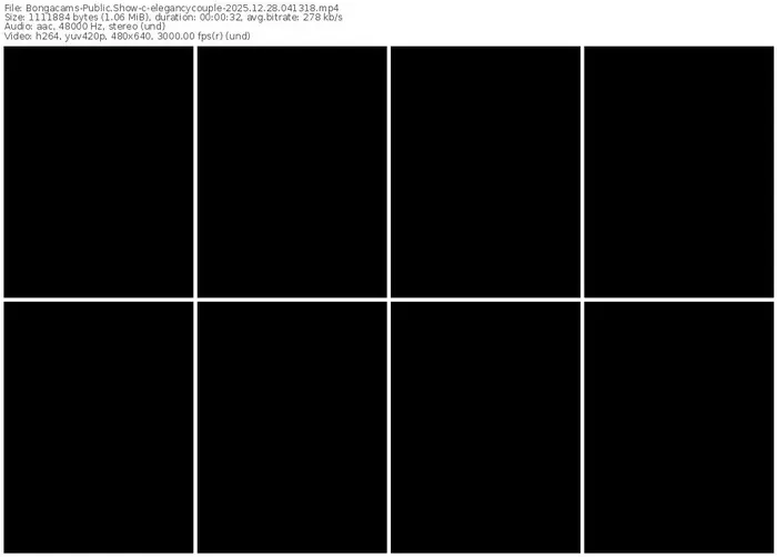 2025/12/28/bongacams-elegancycouple-04-13-18