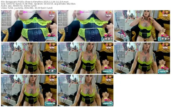 2025/12/28/bongacams-alenarios-11-12-16