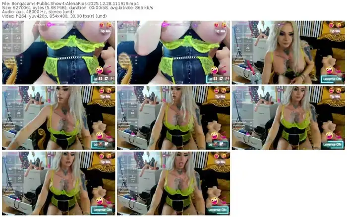 2025/12/28/bongacams-alenarios-11-19-19