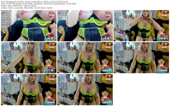 2025/12/28/bongacams-alenarios-12-00-23