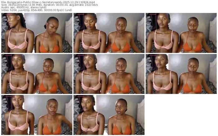 2025/12/29/bongacams-secretarysandy-13-28-24