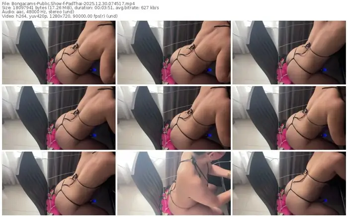 2025/12/30/bongacams-padthai-07-45-17